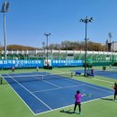 안동시민테니스장 이미지