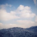 수다하우스 이미지