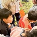 나래영재어린이집 이미지