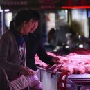 돼지왕국 이미지