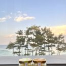 시도푸딩 이미지