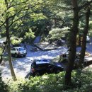 대관령 솔내음 오토 캠핑장 이미지