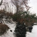 성왕로 옥천-15-1 이미지