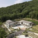 치유의 숲 이미지