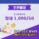 지웰공인중개사사무소 이미지