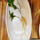 채선당플러스경산점 | 경산 맛집 오리불고기 천연애 경산점, 가족모임, 단체 회식으로 좋아요