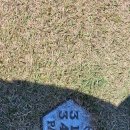 타미우스 컨트리클럽 | 제주골프여행/타미우스cc라운드후기