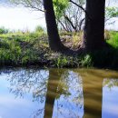 우포늪주차장 이미지