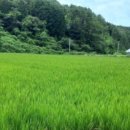 능포초등학교병설유치원 이미지