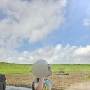 (주)제주돌 | 제주 돌문화공원 어린이관, 찐 후기! & 예약꿀팁