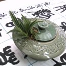 대경난농원