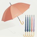 파스텔A 이미지