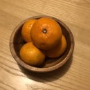 히든래빗 | [후기] 제주 서귀포 표선 독채 감성숙소 히든래빗