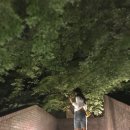 제이제이라이브클럽 - 부평구 시장로12번길 6 | 제이제이라이브클럽