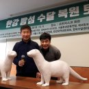탄천연구포럼 | [후기]44년만에 한강에 돌아온 수달이 평화롭게 살려면