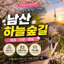 남산가는길(야경)코스 | 남산 하늘숲길 후기｜주차 꿀팁부터 코스·야경까지 완벽 정리 (벚꽃 산책 추천)