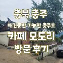맘스터치 길건너 교차로 | 충북 ㅣ 충주 애견동반도 가능한 충주호 카페 모도리 방문후기