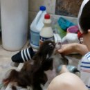 와와민박 이미지