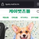 종합카 이미지