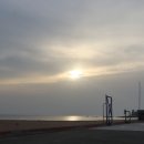 영덕고래불국민야영장 이미지