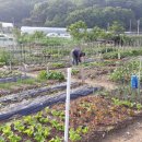 능안농장 이미지