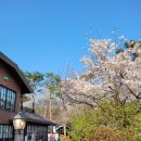 삼풍베이커리 이미지