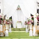 강남하우스 이미지