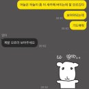 안경나라(병점점) | 2월 옐로나이프 Yellowknife 헬로오로라 오로라헌팅