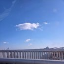 M.Park9 (1관) | 장미셸바스키아 전시 5만원 주고 본,,내돈내산 쩝스바리 후기(DDP)