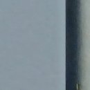 나무카페 이미지