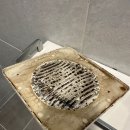 매직크린 | 헌집이 새집으로 변신한 느낌! 매직크린솔루션 자취방 청소 후기