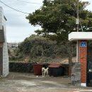 세화14길 | @jeju • • • 2 🏔️