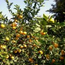 부흥상사 이미지