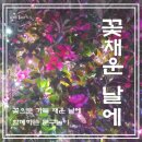 꽃채운 이미지