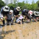 소만어린이공원 이미지