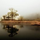 서산 태양광발전소 이미지