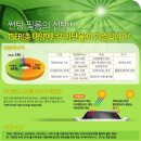 안동기지떡