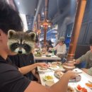 서프라이즈보드카페 이미지