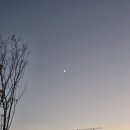 아이러브독도 | [학교&amp;일상]우당탕탕 2학기가 절반이 지났다니 설마 곧 방학?