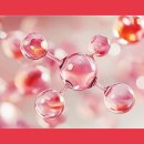 주식회사 천도 이미지