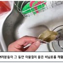 24.7월부터 바뀌는 쓰레기 분리배출 방법 이미지