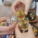 [시청 맛집] 시청역 참치 맛집 홍도참치 (feat. 진)