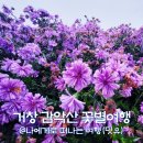 감악산계곡쉼터 | 거창 감악산 축제, 감악산 꽃별여행 별바람 언덕 이스타국화 구경