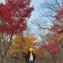 관악구종합청사 | 서울대학교 안양수목원 주말나들이 추천, 주차장 이용 후기