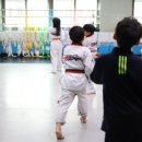 올바른 성장 태권도 이미지