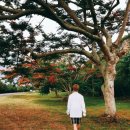 여주-1013 이미지