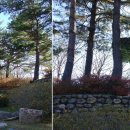 삼수령탑 Daum카페