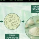 씨제이인베스트먼트