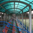 축구장 본부석 이미지