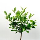 경원농장 이미지